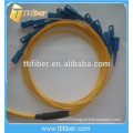 Round Type Singlemode 12Core SC Fiber Optic Pigtail